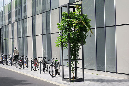 Tree guard type 47.RSE-80