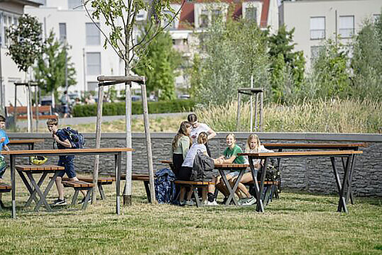 Bench Maneva with timber seat base