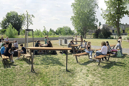 Bench Maneva with timber seat base