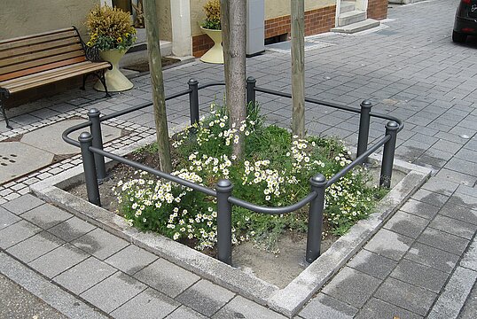 Crailsheim, Adam-Weiß-Straße